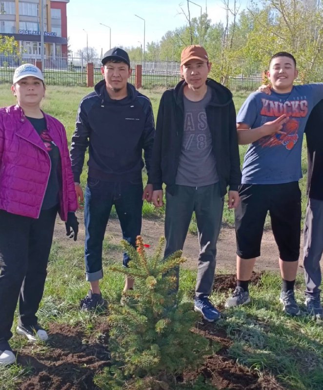 Жеңіс саябағының аумағында жыл сайынғы дәстүрлі шырша көшеттері отырғызылды